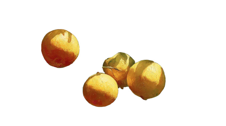 Citrus Tree Close-Up Vinyl Car Decal Sticker – Waterproof & UV-Resistant 