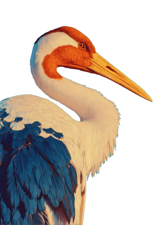 White Crane Painting Vinyl Car Decal Sticker – Waterproof & UV-Resistant 