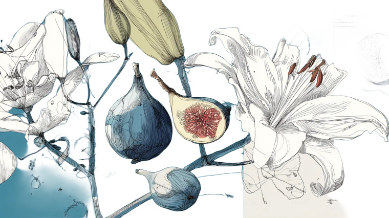 Lilies And Figs Vinyl Car Decal Sticker – Waterproof & UV-Resistant 