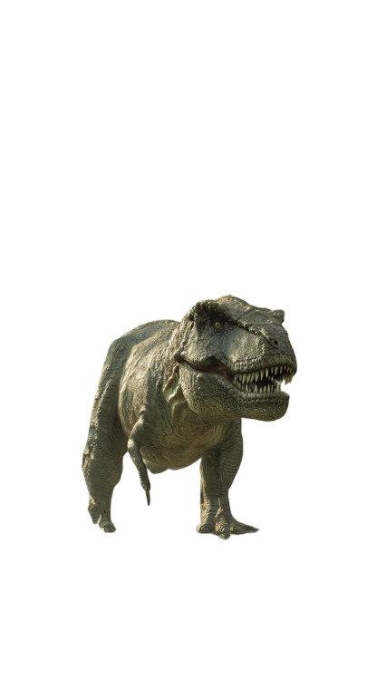 Tyrannosaurus Rex V16 Vinyl Car Decal Sticker – Waterproof & UV-Resistant 