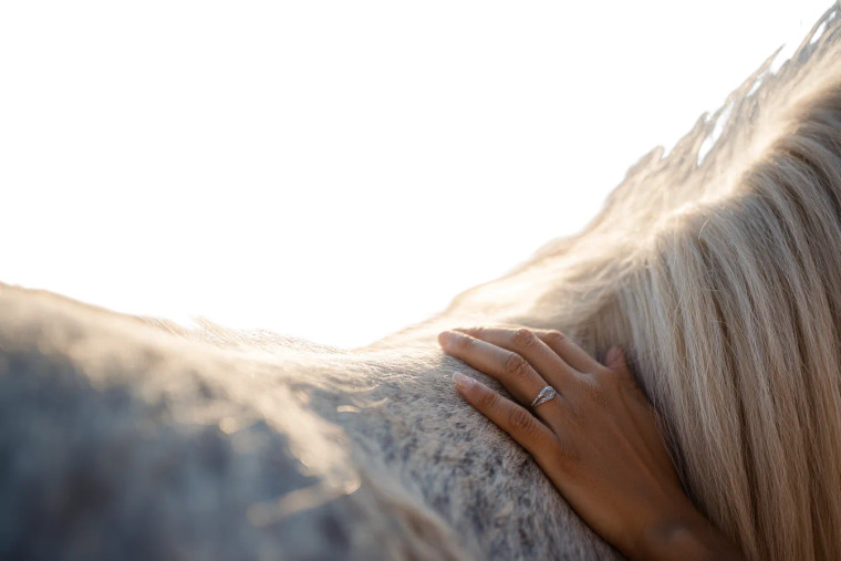 Horse'S Gentle Touch Vinyl Car Decal Sticker – Waterproof & UV-Resistant 