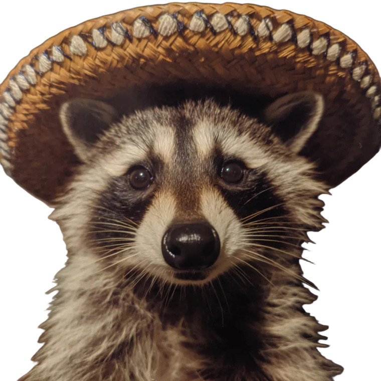 Raccoon In Sombrero Vinyl Car Decal Sticker – Waterproof & UV-Resistant 