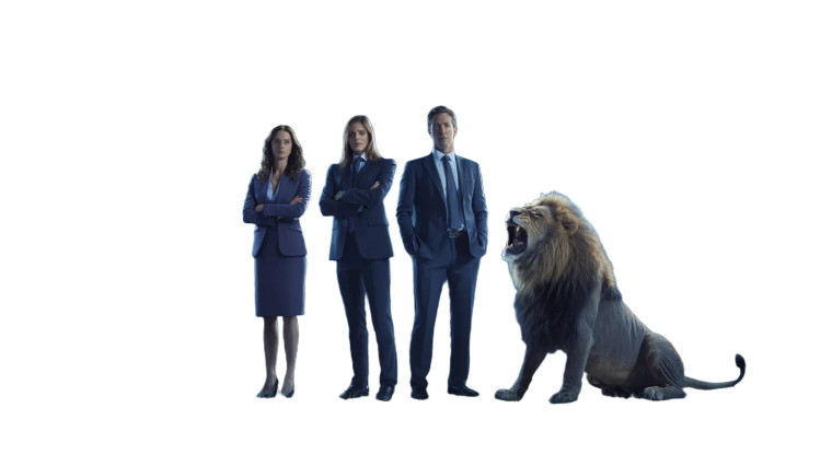 Stadium Lion Roar Vinyl Car Decal Sticker – Waterproof & UV-Resistant 