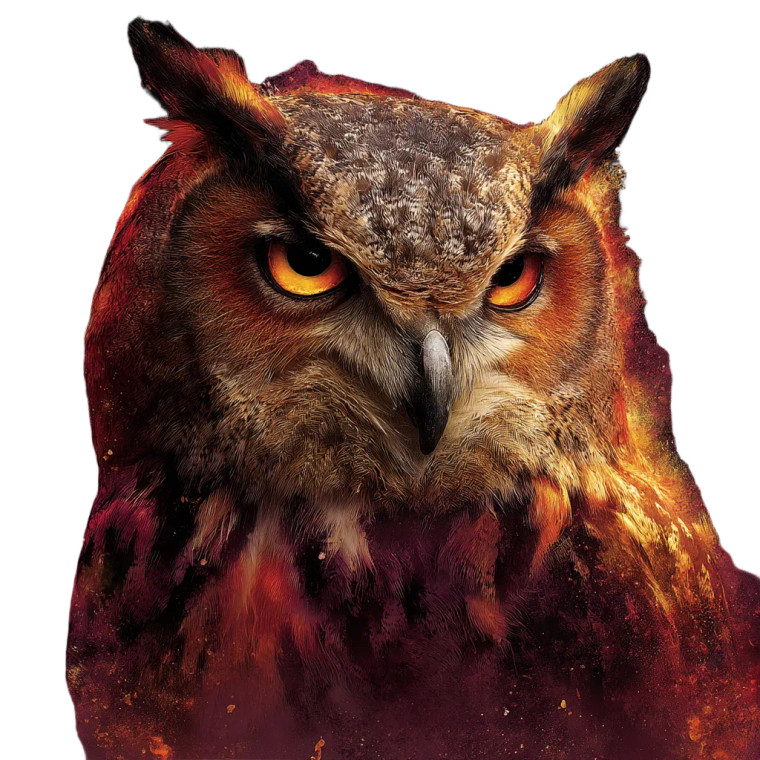 Mystical Owl Head Vinyl Car Decal Sticker – Waterproof & UV-Resistant 