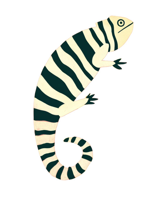 Fauvist Chameleon Vinyl Car Decal Sticker – Waterproof & UV-Resistant 