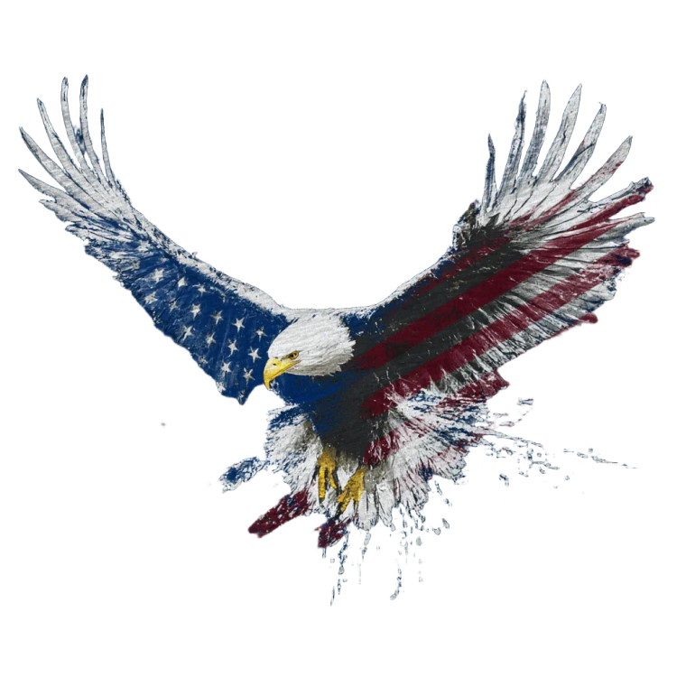 Patriotic Eagle Flight V2 Vinyl Car Decal Sticker – Waterproof & UV-Resistant 