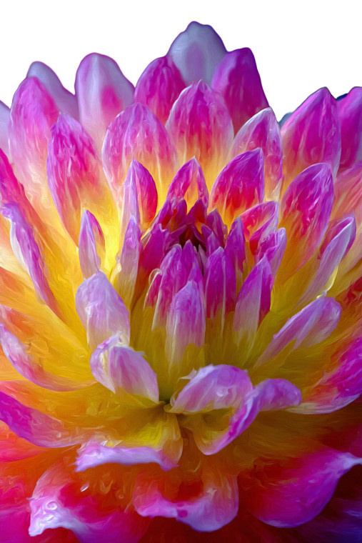 Vibrant Impressionist Flower Vinyl Car Decal Sticker – Waterproof & UV-Resistant 