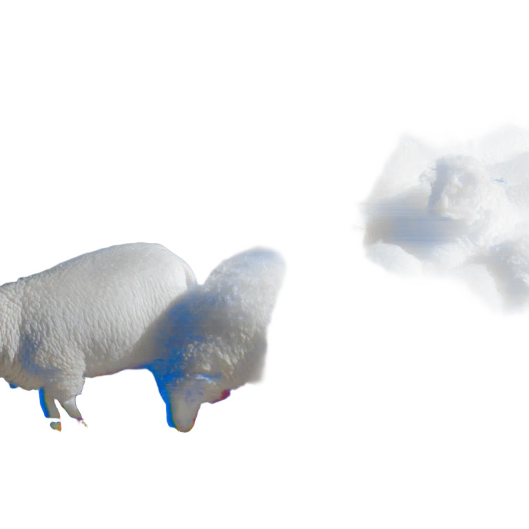 Sheep On Cloud Vinyl Car Decal Sticker – Waterproof & UV-Resistant 
