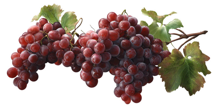 Photorealistic Wine Grape Vinyl Car Decal Sticker – Waterproof & UV-Resistant 