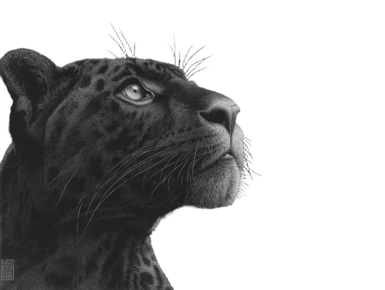 Jaguar And Colibri Vinyl Car Decal Sticker – Waterproof & UV-Resistant 