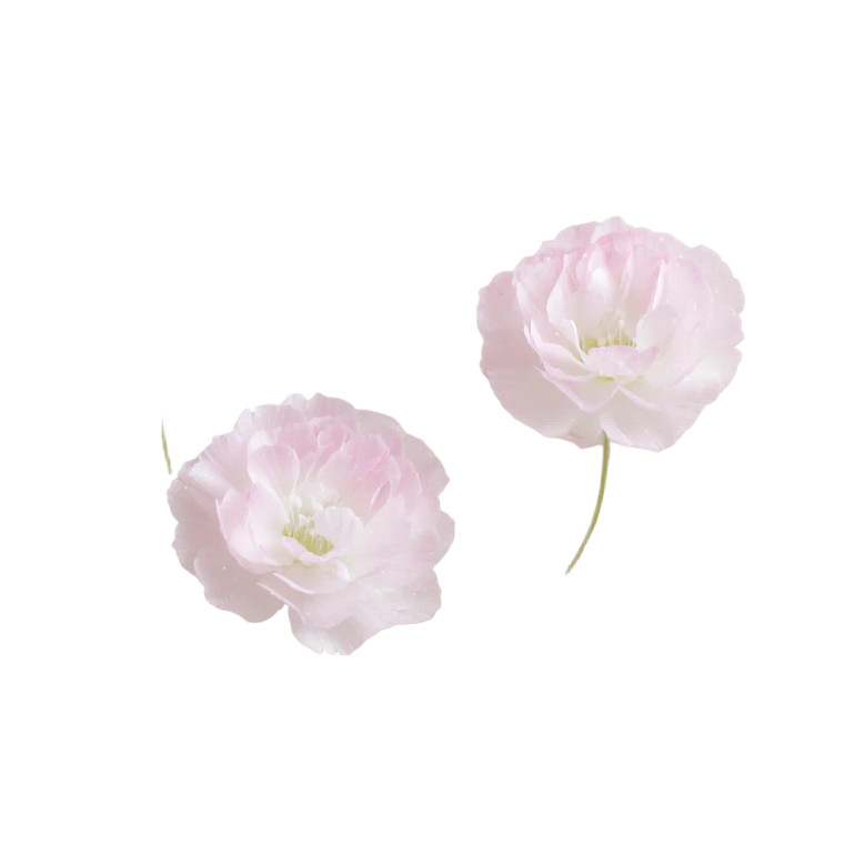 Delicate Honor Flowers Vinyl Car Decal Sticker – Waterproof & UV-Resistant 