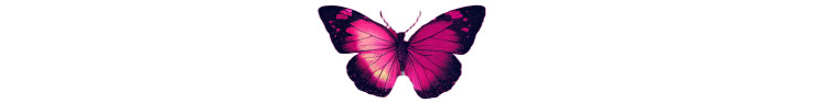Colorful Butterfly V5 Vinyl Car Decal Sticker – Waterproof & UV-Resistant 