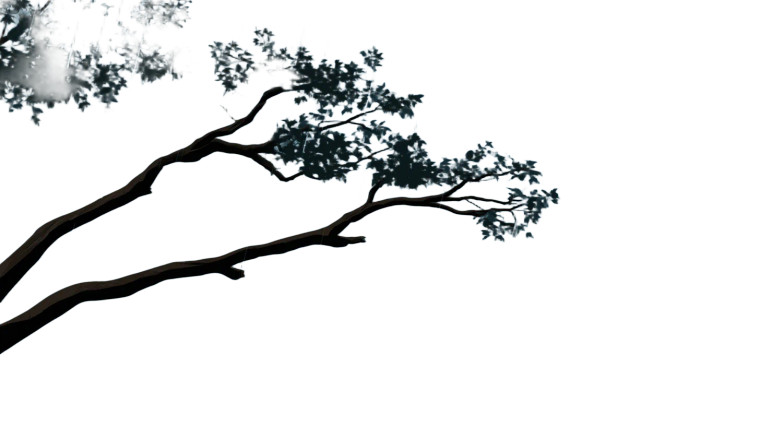 Tree Branch Silhouette Vinyl Car Decal Sticker – Waterproof & UV-Resistant 