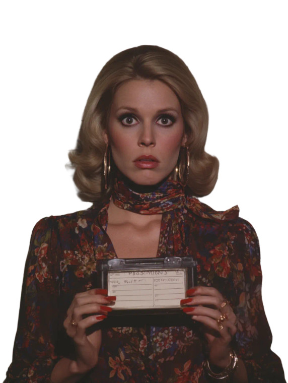 1970S Actress Mugshot Vinyl Car Decal Sticker – Waterproof & UV-Resistant 