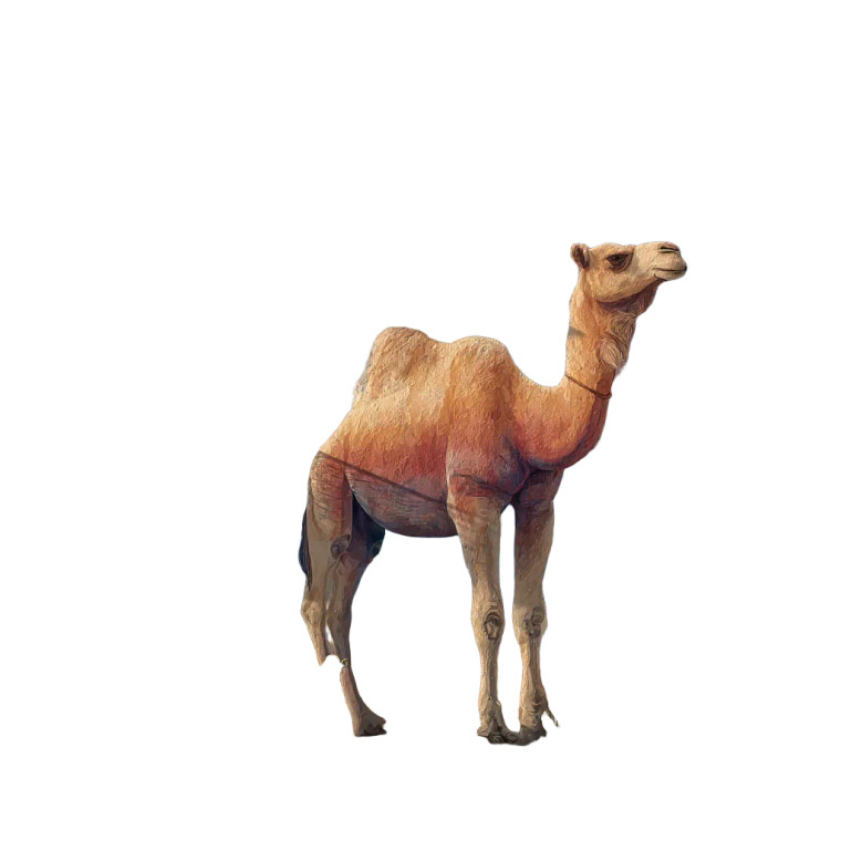 Desert Mural Camel Vinyl Car Decal Sticker – Waterproof & UV-Resistant 