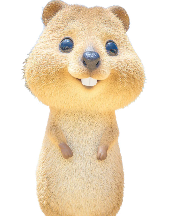 Cute Quokka Character Vinyl Car Decal Sticker – Waterproof & UV-Resistant 