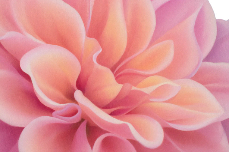 Petal Close Up Vinyl Car Decal Sticker – Waterproof & UV-Resistant 