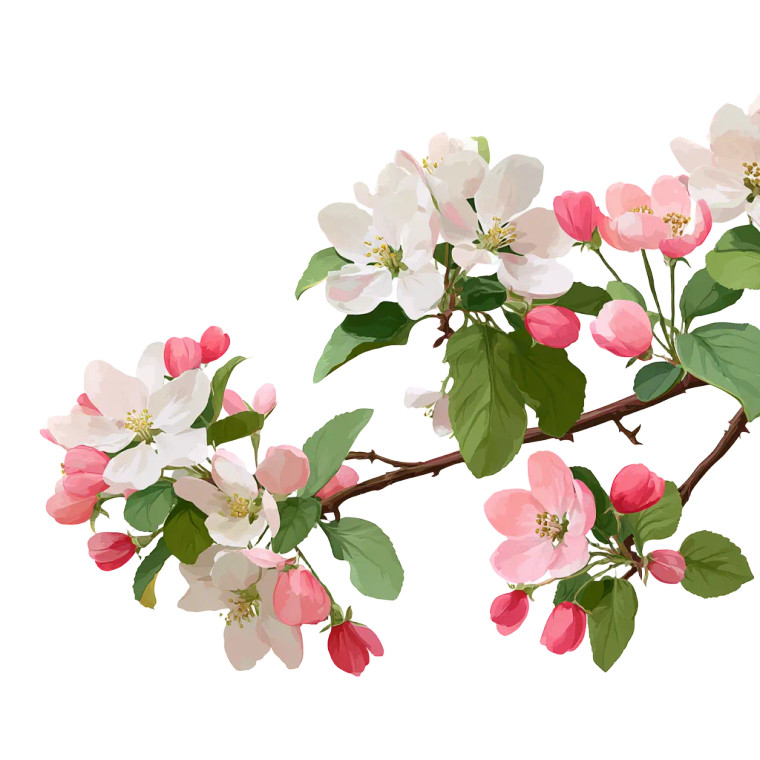 Blossoming Apple Branch Vinyl Car Decal Sticker – Waterproof & UV-Resistant 