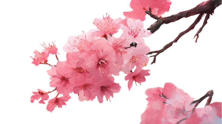 Sakura Branch Close-Up V2 Vinyl Car Decal Sticker – Waterproof & UV-Resistant 