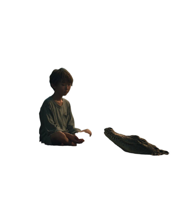 Boy And Crocodile V2 Vinyl Car Decal Sticker – Waterproof & UV-Resistant 