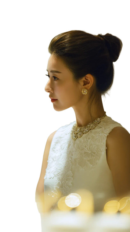 Elegant Jewelry Shopper V2 Vinyl Car Decal Sticker – Waterproof & UV-Resistant 