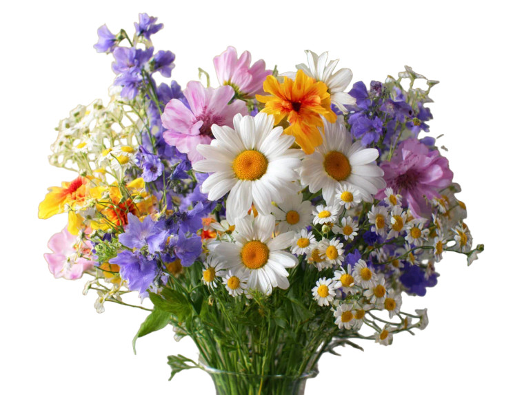 Wild Flower Bouquet V2 Vinyl Car Decal Sticker – Waterproof & UV-Resistant 