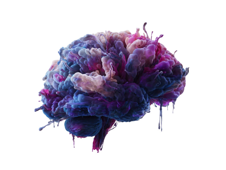 Purple Brain Vinyl Car Decal Sticker – Waterproof & UV-Resistant 