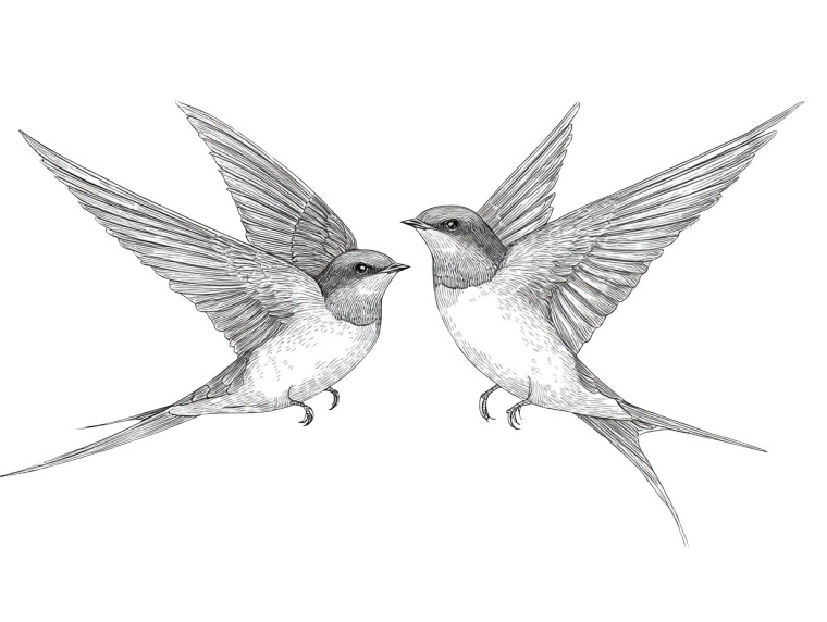 Symmetrical Swallows Design Vinyl Car Decal Sticker – Waterproof & UV-Resistant 