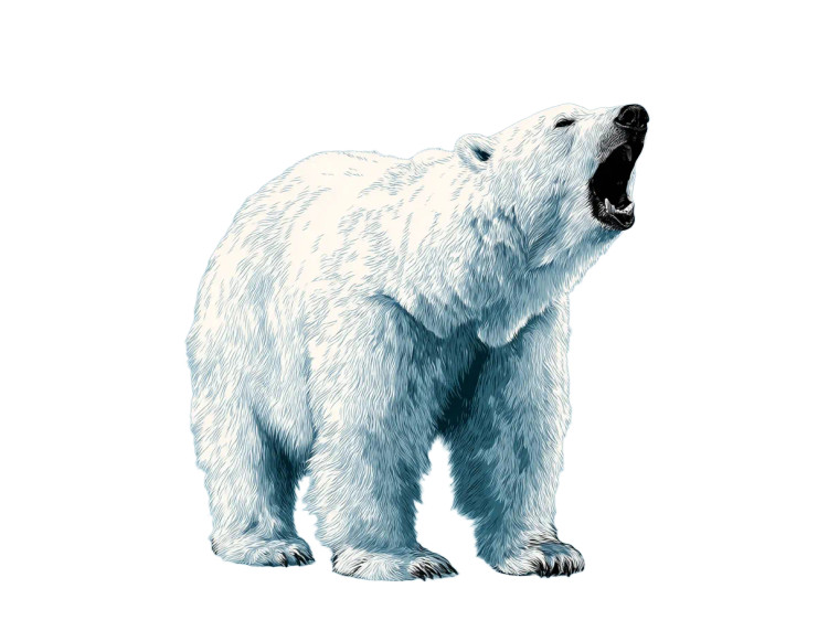 Roaring Polar Bear V3 Vinyl Car Decal Sticker – Waterproof & UV-Resistant 