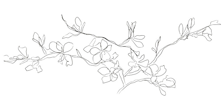 Picasso Almond Branch Vinyl Car Decal Sticker – Waterproof & UV-Resistant 