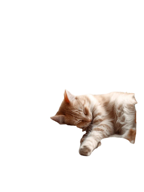 Sleeping Cat V12 Vinyl Car Decal Sticker – Waterproof & UV-Resistant 