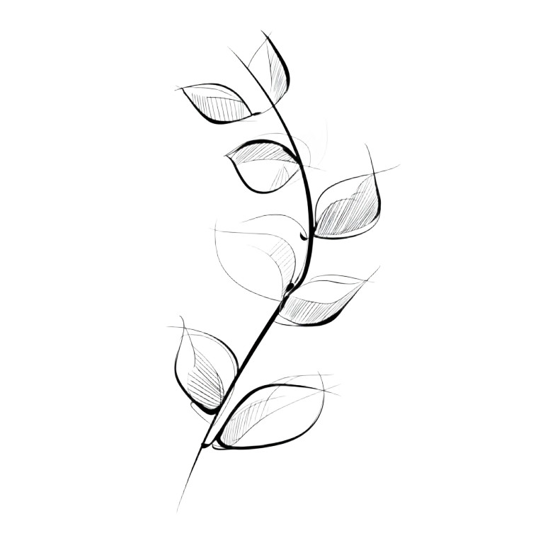 Minimalistic Leaf Sketch Vinyl Car Decal Sticker – Waterproof & UV-Resistant 