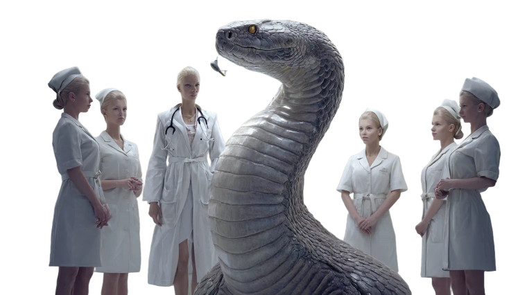 Doctor Anaconda Scene Vinyl Car Decal Sticker – Waterproof & UV-Resistant 