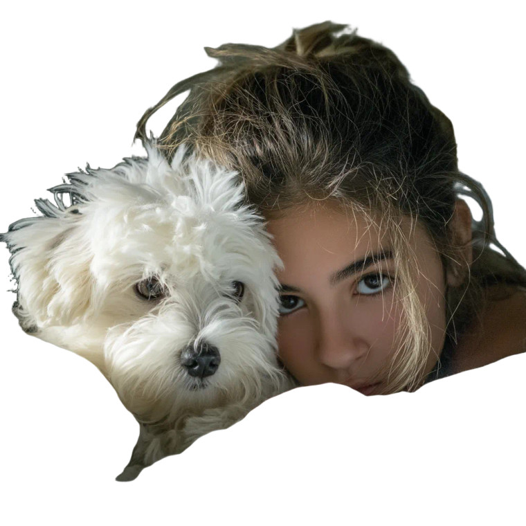 Girl With Maltese V2 Vinyl Car Decal Sticker – Waterproof & UV-Resistant 