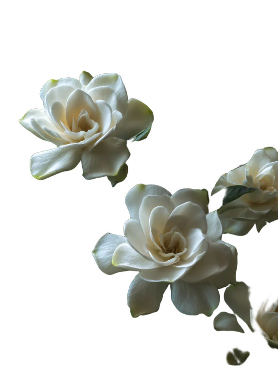 Blooming Gardenias V2 Vinyl Car Decal Sticker – Waterproof & UV-Resistant 