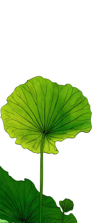 Green Lotus Leaf V2 Vinyl Car Decal Sticker – Waterproof & UV-Resistant 