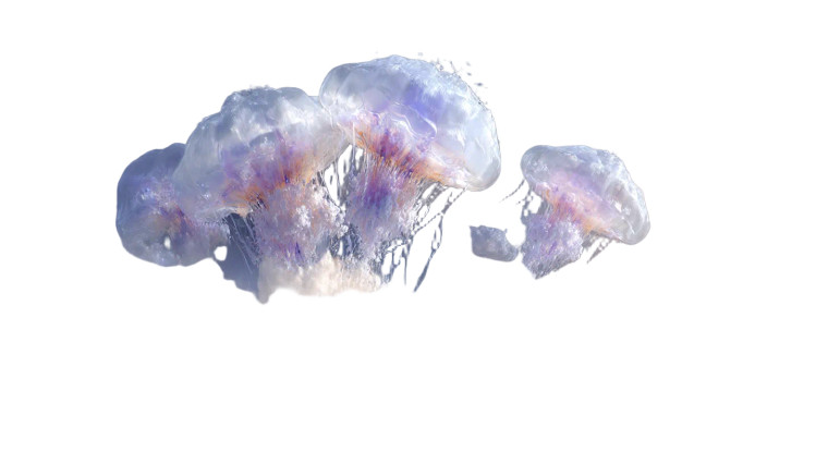 Floating Jellyfish Vinyl Car Decal Sticker – Waterproof & UV-Resistant 