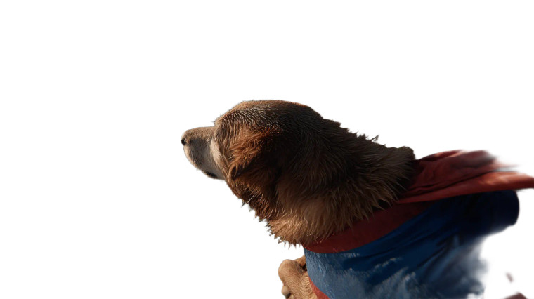 Heroic Flying Dog Vinyl Car Decal Sticker – Waterproof & UV-Resistant 
