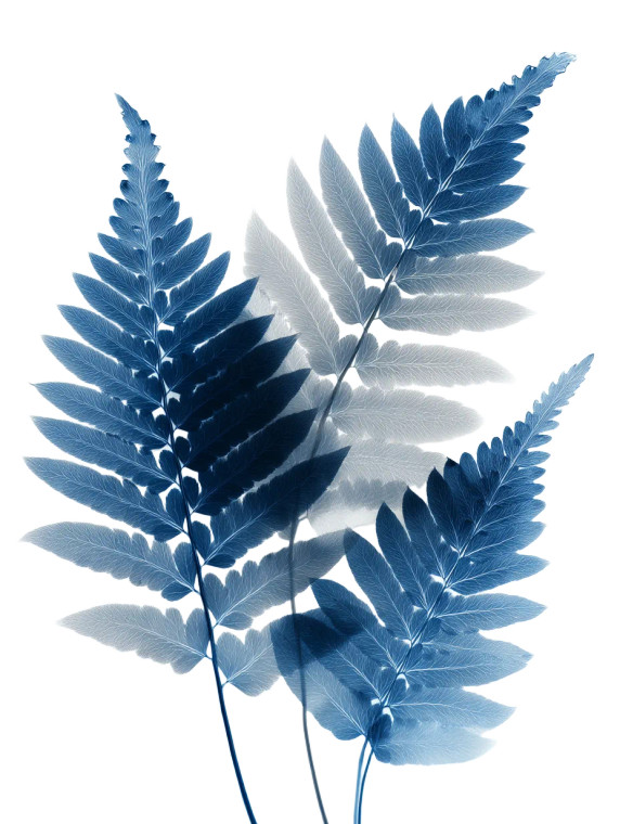 Overlapping Fern Leaves Vinyl Car Decal Sticker – Waterproof & UV-Resistant 