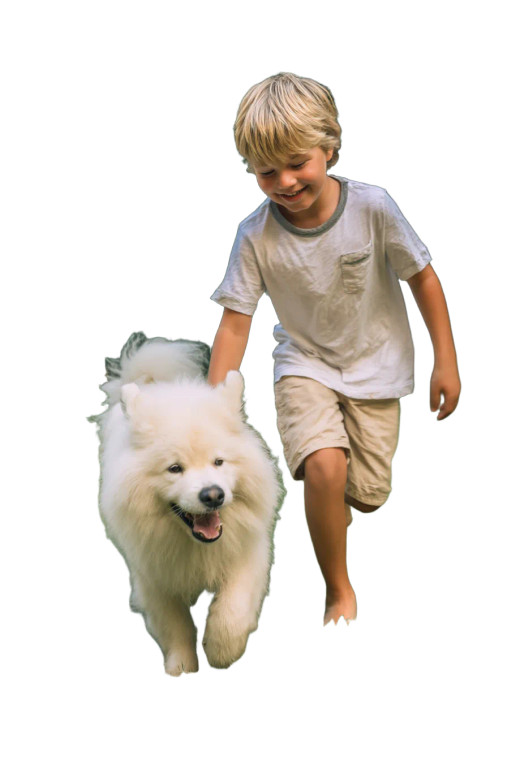 Boy Playing With Dog V2 Vinyl Car Decal Sticker – Waterproof & UV-Resistant 