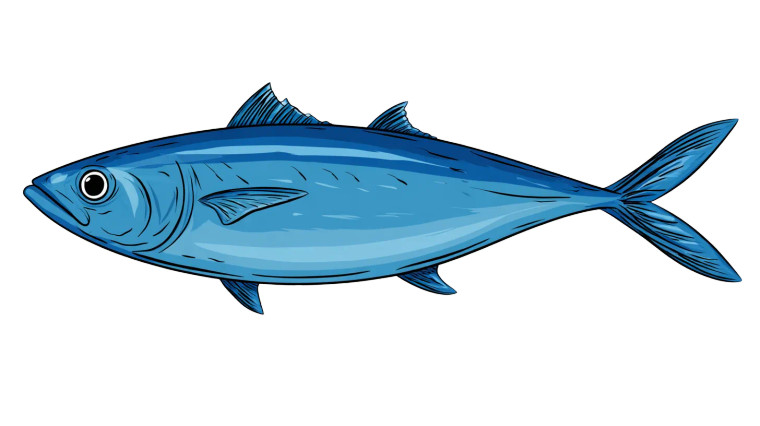 Cartoon Tuna Fish Vinyl Car Decal Sticker – Waterproof & UV-Resistant 