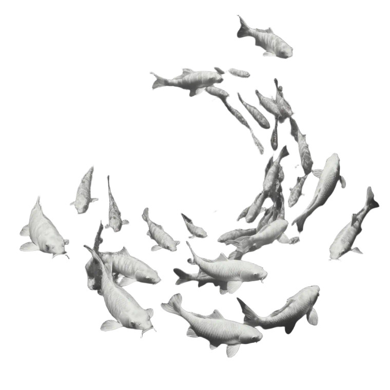 Dynamic Swimming Carp Vinyl Car Decal Sticker – Waterproof & UV-Resistant 