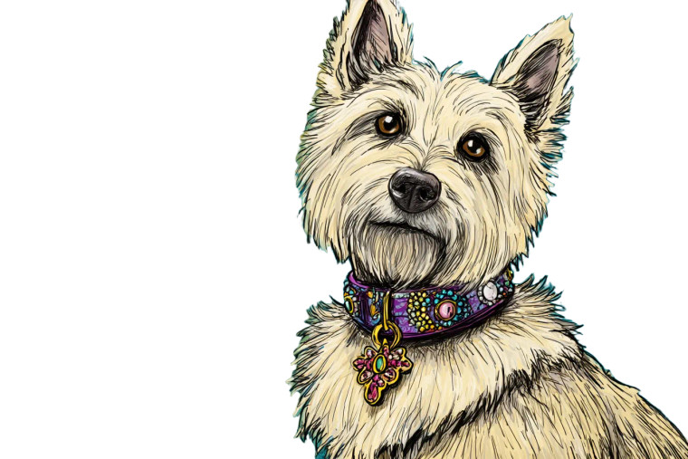 Karen Terrier Vinyl Car Decal Sticker – Waterproof & UV-Resistant 