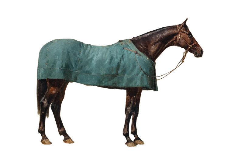 Arabian Horse Painting Vinyl Car Decal Sticker – Waterproof & UV-Resistant  Arabian Horse Painting Vinyl Car Decal Sticker – Waterproof & UV-Resistant