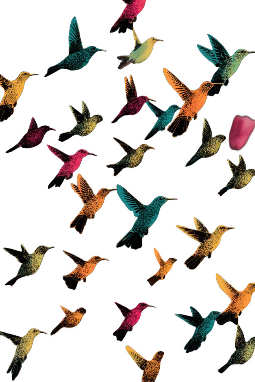 Flying Flower Birds Vinyl Car Decal Sticker – Waterproof & UV-Resistant 