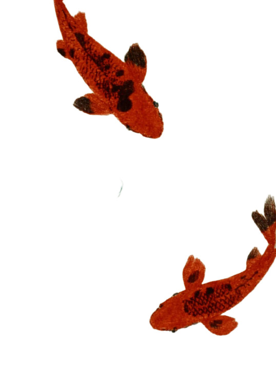 Koi Fish Art V2 Vinyl Car Decal Sticker – Waterproof & UV-Resistant 