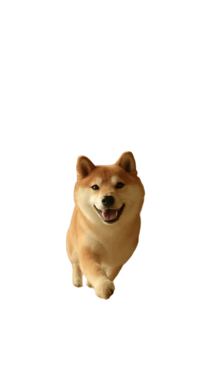 Shiba Inu Wagging Vinyl Car Decal Sticker – Waterproof & UV-Resistant 