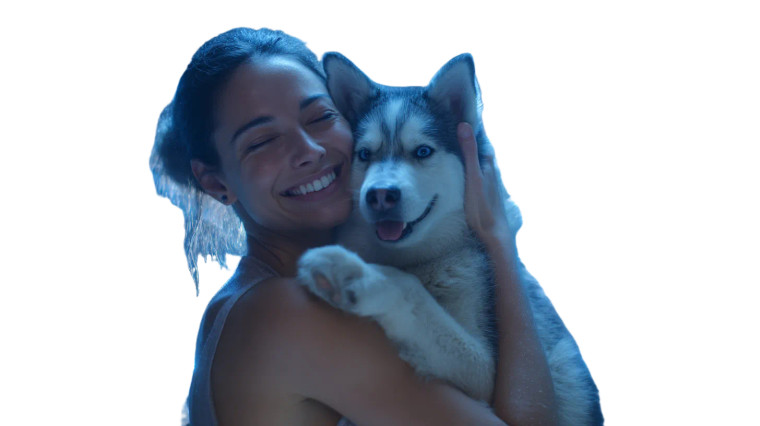 Mexican Beauty & Husky Vinyl Car Decal Sticker – Waterproof & UV-Resistant 