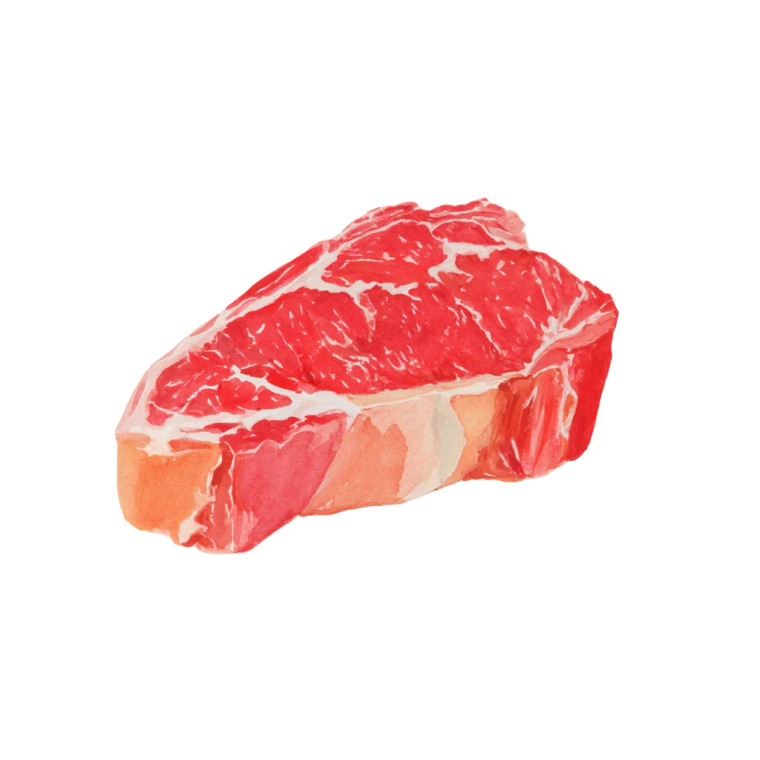 Watercolour Steak Vinyl Car Decal Sticker – Waterproof & UV-Resistant 