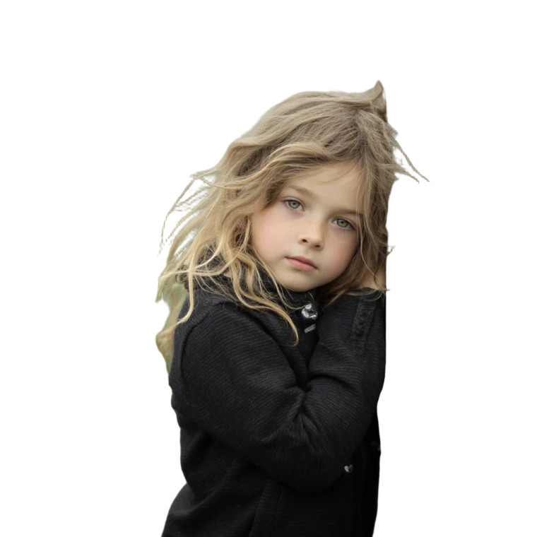 Lily At Fencepost Vinyl Car Decal Sticker – Waterproof & UV-Resistant 